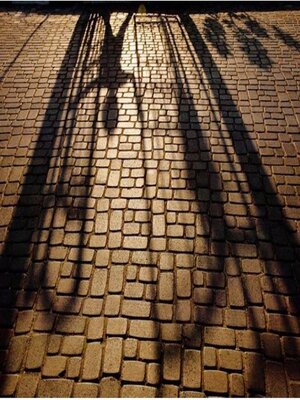 cover image of Les Entraves de la Mémoire